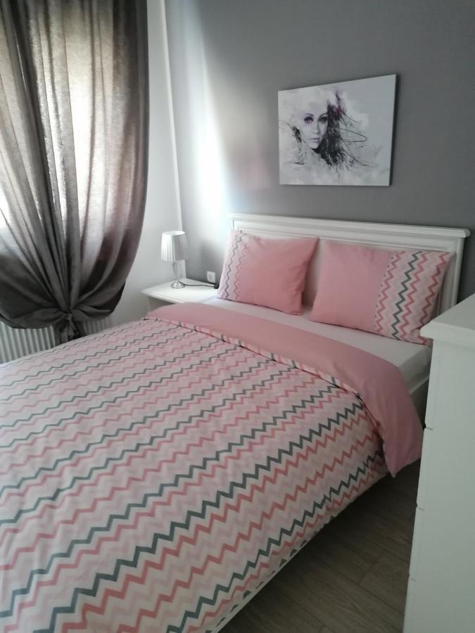Apartman Jezdić 2 Banja Koviljaca Bagian luar foto
